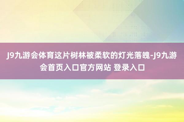 J9九游会体育这片树林被柔软的灯光落魄-J9九游会首页入口官方网站 登录入口