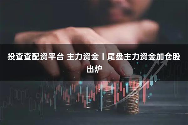 投查查配资平台 主力资金丨尾盘主力资金加仓股出炉