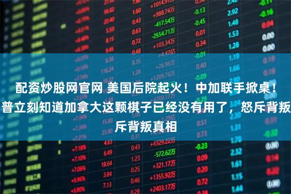 配资炒股网官网 美国后院起火！中加联手掀桌！特朗普立刻知道加拿大这颗棋子已经没有用了，怒斥背叛真相